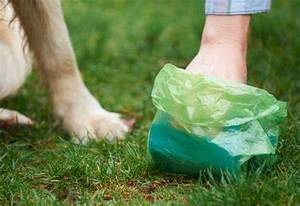 Sacs à déjections canines écologiques, biodégradables et compostables, solution de gestion des déchets pour animaux de compagnie - Product Image 6