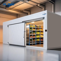 Chambre froide solaire intégrée avec unité de réfrigération Emerson/Copeland pour congélateur de poulet et fruits de mer