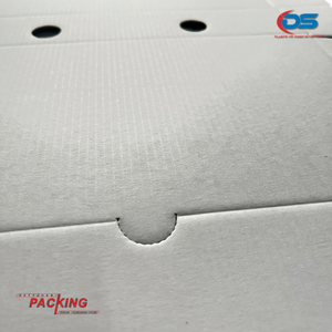 High Quality Custom UV-Coated Corrugated PET Packaging Durable Embossing Fast Food <b>Folder</b> Europe Factory's Recycled Paper Boxes - Product Image 1