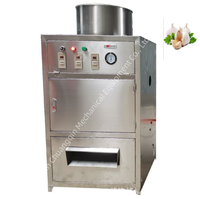 Automatic Stainless Steel Garlic & Onion Peeler Machine with Motor 30kg/h Capacity for Commercial and Home Use