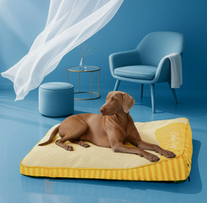 Coussin rafraîchissant pour chien en soie glacée, tapis d'été confortable pour animaux de compagnie, lit de couchage intérieur antidérapant pour chiens de grande, moyenne et petite taille - Product Image 1