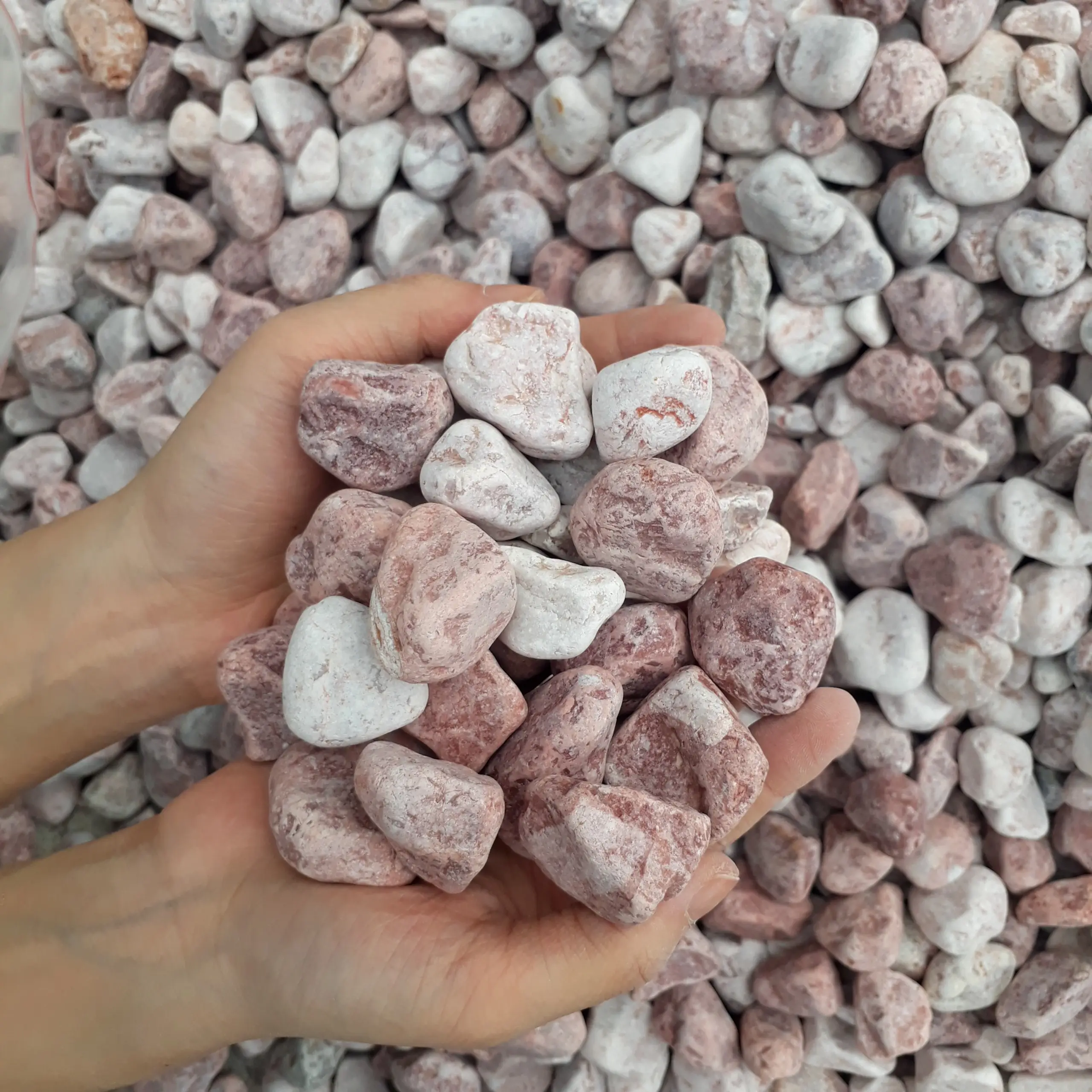 Piedras de guijarro rosa para decoración, guijarros Rosas y grava, venta al por mayor de Vietnam