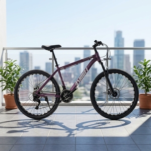 Fabricante Mayorista de China, Bicicleta de Montaña <span class=keywords><strong>GREENSKY</strong></span> GS-10 2026, Bicicleta Personalizada - Product Image 1