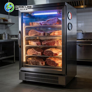 <span class=keywords><strong>Fournisseur</strong></span> d'équipements pour steakeries, armoires de maturation à sec, équipements pour boucheries, armoires de maturation à sec OEM - Product Image 2
