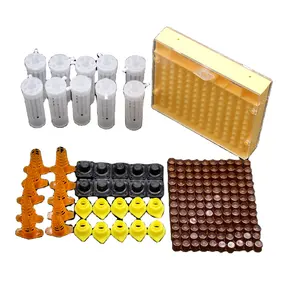 1 SET Beekeeping King Queen Bee Rearing System Box Plastic Cup Cell Protection Cover Cage Apiculture Kit Bees Tools Supplies