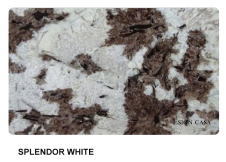 SPLENDEUR BLANC