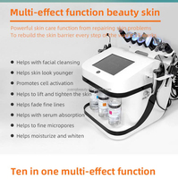 Portable 10 en 1 eau oxygène Hydro nettoyage du visage en profondeur Dermabrasion Jet Peel Aqua multifonction Salon équipement de beauté