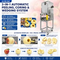 Automatische fruit schil-, ontpit- en snijmachine voor appels, peren, perziken, tomaten; verwerkingsapparatuur voor commerciële catering