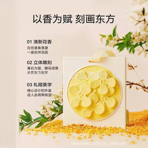 Ambientador Colgante Sólido Perfumado de Papel Elegante para Armario y Guardarropa, Desodorizante para Interiores del Hogar, Regalo de Aromaterapia, Duración de Seis Meses a Un Año - Product Image 3