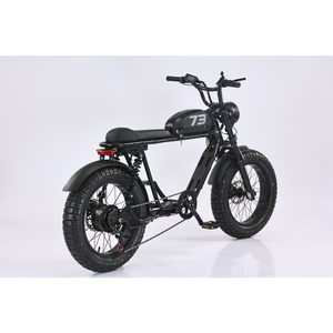 Bicicleta Eléctrica Urbana de 500W con Motor Trasero sin Escobillas, Batería de Litio de 48V 20AH, Neumático Grueso de 20 Pulgadas, 6 Velocidades, Cuadro de Hierro, Modelo JYOP-6 Urban E - Product Image 5