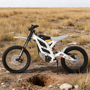 Motocicleta Eléctrica 79 Bike-GT 16.8KW 40AH 72V -50s con Batería de Litio, Cuadro de Aluminio de Triple Viga, 80km/h para Adultos - Product Image 1