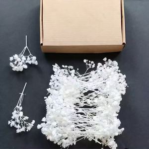 50 pièces <span class=keywords><strong>de</strong></span> fleurs naturelles séchées et préservées artisanales, Gypsophile, longue durée, pour bouquets <span class=keywords><strong>de</strong></span> mariage, Fête des Mères, Remise <span class=keywords><strong>de</strong></span> diplôme - Product Image 1
