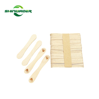 Cuillères à glace en bois biodégradables personnalisées à prix d'usine jetables avec logo