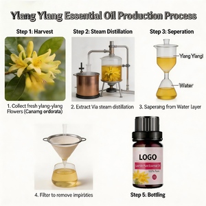 <span class=keywords><strong>Huile</strong></span> <span class=keywords><strong>essentielle</strong></span> d'<span class=keywords><strong>Ylang</strong></span> <span class=keywords><strong>Ylang</strong></span> pure de 10 ml en gros, 100% naturelle, qualité thérapeutique pour l'aromathérapie et les soins de la peau - Product Image 3