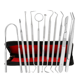 Stainless Steel Dental Tool Set 11-Piece Portable Tartar Remover Oral Care Probe Home Use - Product Image 3