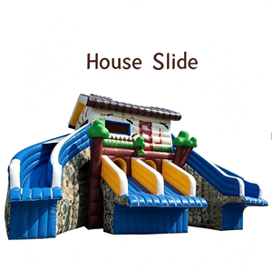 Toboggan aquatique gonflable géant commercial, thème pingouin, dragon, requin, pieuvre, toboggan aquatique en PVC pour location de parc aquatique extérieur - Product Image 2
