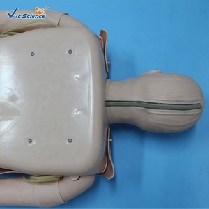 Maniquí de Primeros Auxilios Multifuncional Avanzado con Enchufe del Reino Unido y Sensor de Ventilación por Compresión para Hospitales, Escuelas y Exámenes de Emergencia - Product Image 2