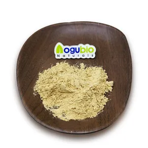 Factory supply plant extract ginger Gingerols 5% 10% 20% Organic Ginger Root Extract