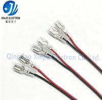 Kabel Harness Konektor Spade Betina 4.8mm 6.3mm Custom, Kabel UL1007 Merah Hitam Berisolasi PVC dengan Terminal Crimp untuk Kelistrikan