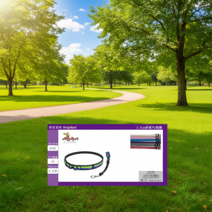 Collari Premium per Cani in PU Colorato da 2,5 cm con Fascia per il Collo, Accessori Eleganti per Cani - Product Image 2