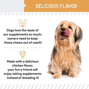 גרגירים כלבים מטפלת בשמנים דגים שמן תמיכה חיסונית תוספי מזון אורגניים בבקבוקים לכל הגזעים - Product Image 6