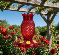 Nouvelle Abreuvoir à Colibris en Plastique Anti-Fuite Facile à Nettoyer Durable Réutilisable Moderne pour Jardin et Cour Extérieure