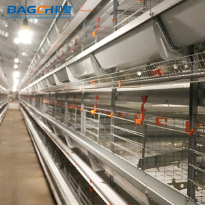 Nouveau <span class=keywords><strong>poulailler</strong></span> en acier galvanisé entièrement automatisé de type H à longue durée de vie de haute qualité pour ferme d'élevage de poulets - Product Image 4