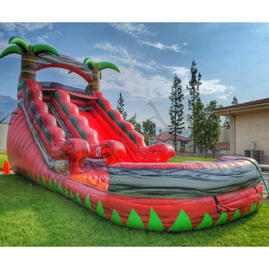 Toboggan aquatique gonflable géant, très vendu en Europe et aux États-Unis, toboggan <span class=keywords><strong>pas</strong></span> <span class=keywords><strong>cher</strong></span> pour les fêtes, en PVC, toboggans aquatiques en forme de château - Product Image 3