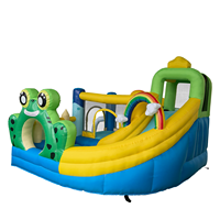 Château gonflable design grenouille aux couleurs vives avec toboggan et piscine à pataugeoire