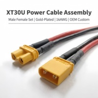 Câble de charge et d'alimentation pour voiture, faisceau de câblage personnalisé ODM/OEM, avec connecteur XT30U mâle/femelle, gaine en PVC et cuivre étamé