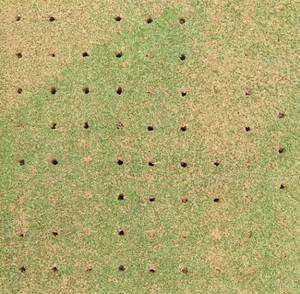 <span class=keywords><strong>Machine</strong></span> de poinçonnage de pelouse, aérateur de prise de rouleau de pelouse - Product Image 3