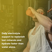 OEM/ODM Polvo Electrolítico de Agua de Coco Natural Sin Azúcar, Sin OMG, Sin Crueldad Animal, Hidratación Rápida, Crecimiento Muscular, Post-Entrenamiento