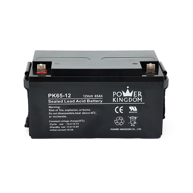 12V 65Ah Lead Acid VRLA AGM Batteries for UPS/Lighting/Security/Electrical/Telecom/Transportation/Medical