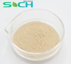 Enzyme hémicellulase de haute qualité provenant d'Aspergillus niger pour l'hydrolyse de l'hémicellulose dans les applications alimentaires - Product Image 1