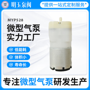 Mini pompe à air MYP528, pompe à diaphragme, pompe de surpression électrique portable pour pièces de machines d'emballage - Product Image 4