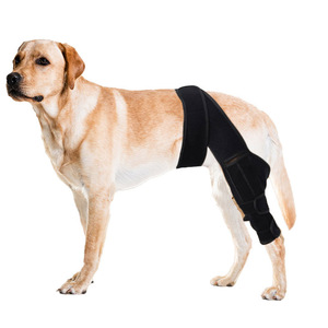 Rodillera Ajustable Personalizada <span class=keywords><strong>para</strong></span> <span class=keywords><strong>Perros</strong></span> con Férula Metálica y Bisagra, Soporte <span class=keywords><strong>para</strong></span> Patas Traseras, Alivio del Dolor, Protector de Articulación de Rodilla y Rodillera ACL <span class=keywords><strong>para</strong></span> <span class=keywords><strong>Perros</strong></span> - Product Image 1