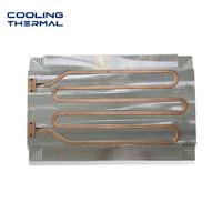 Plaque froide liquide en aluminium personnalisée pour la gestion thermique des batteries de stockage d'énergie des véhicules électriques (VE) – OEM ODM