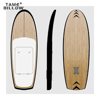 TAME BILLOW Planche de surf électrique flexible Efoil avec batterie
