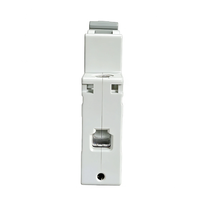 Disjoncteur compact 1P courbe C MCB M80 6 kA, capacité de coupure industrielle, en cuivre et plastique, pour circuit aérien
