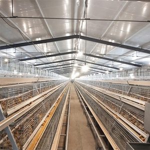 Cages de couvaison automatiques professionnelles pour poulets, type <span class=keywords><strong>A</strong></span>, galvanisées, pour élevages avicoles modernes - Product Image 1
