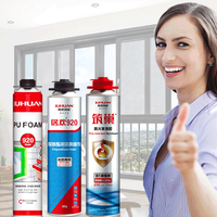 Adhésif polyuréthane ignifuge blanc en mousse PU de 750ml pour la construction à usage général pour le remplissage d'écart sur EPS XPS