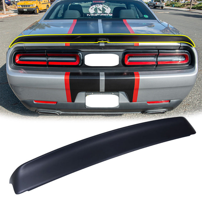 Spoiler Traseiro Dry Carbon Wing Car