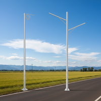 Poteau d'éclairage public à montage sur bride 6m-12m, poteau de signalisation routière, poteau d'éclairage haute intensité pour projets autoroutiers en acier galvanisé/aluminium