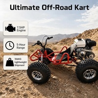Nouveau design, pédale, pneu large de 10 pouces, karting tout-terrain, personnalisable, 212cc, essence, 4 temps, transmission par chaîne, karting adulte, buggy cross