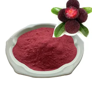 Bubuk ekstrak waxberry merah bayberry kualitas tinggi untuk perawatan kulit