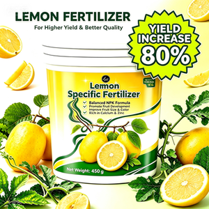 <span class=keywords><strong>Engrais</strong></span> Spécifique pour Citrons 450g Augmentation du Rendement de 80% <span class=keywords><strong>NPK</strong></span> Équilibré Améliore la Brillance des Fruits Acidité Prévient la Chute des Fruits Serres Citricoles - Product Image 1