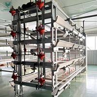 Équipement d'élevage avicole automatique pour poulets de chair, système de cages en batterie de type H galvanisé pour poulaillers de poulets de chair
