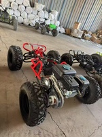 Kart tout-terrain extrême 4 roues pour adulte, monoplace, à essence/électrique, buggy tout-terrain, course en plein air, OEM ODM