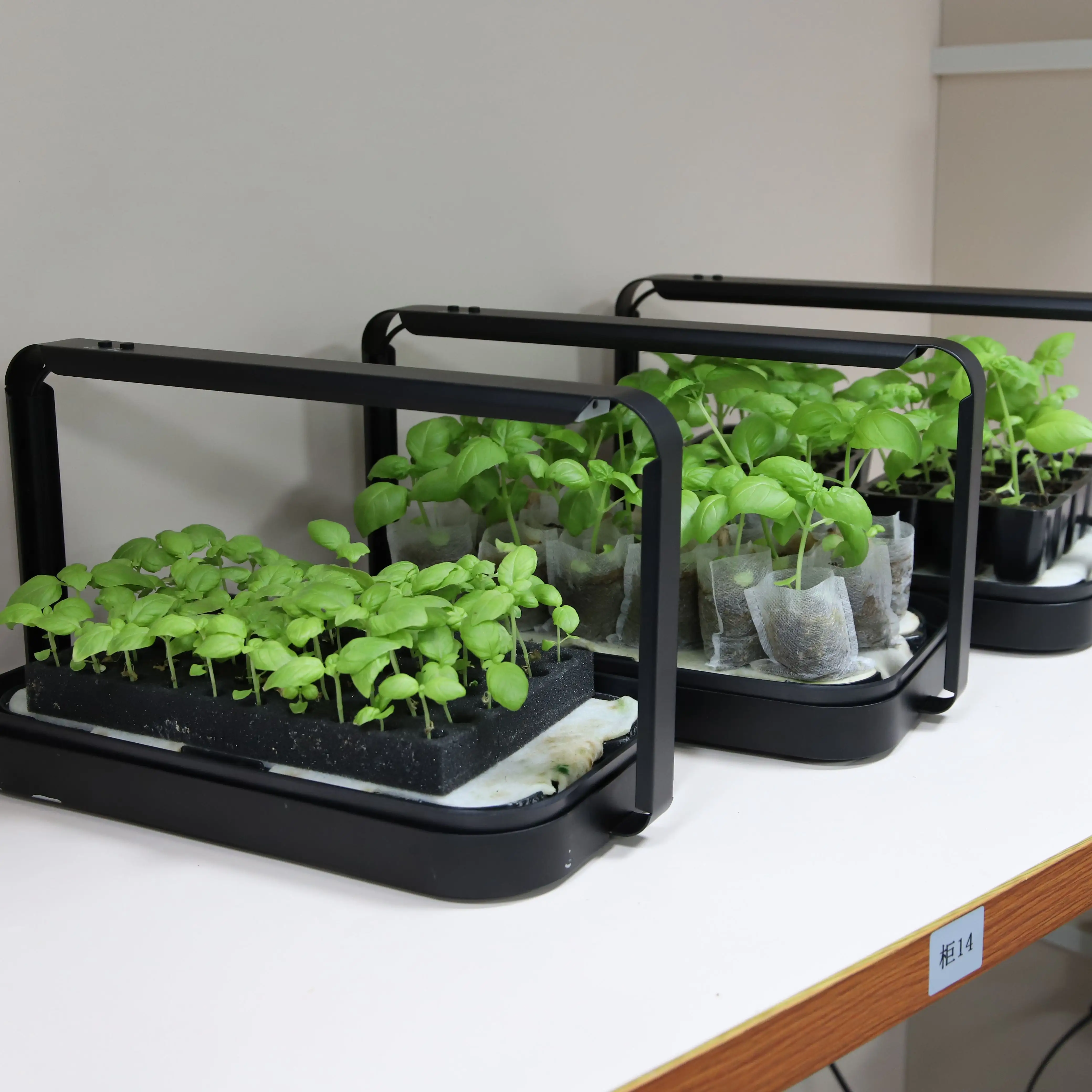 Kit baki hijau mikro Bibit Sistem penumbuh herba hidroponik untuk taman dalam ruangan