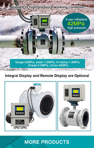 HART Communication <b>Flow</b> <b>Meter</b> for <b>Water</b> Customized OEM Support for Paste Grout - Product Image 1